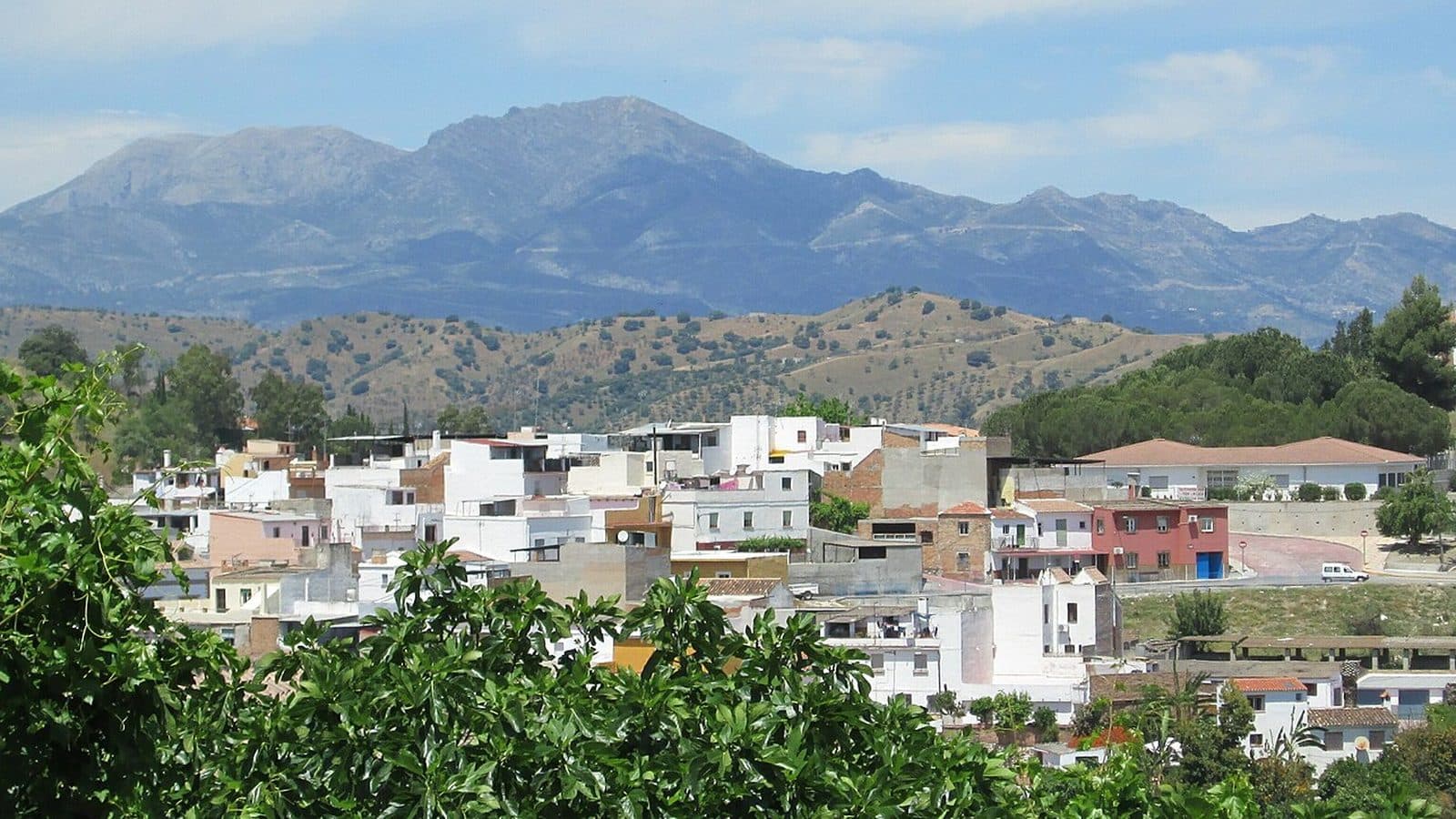 Coín seen from the groves above the town, the Sierra de Alpujata behind it