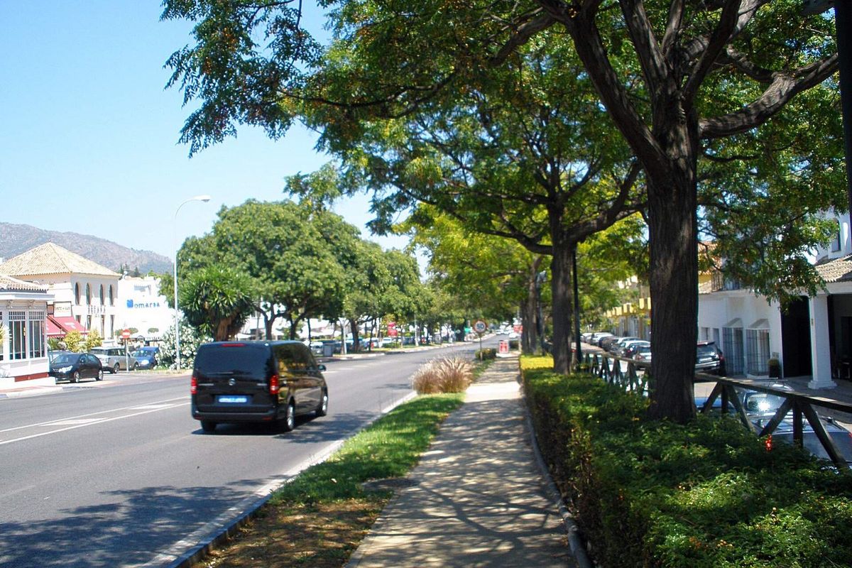 The tree-lined pavement along the boulevard