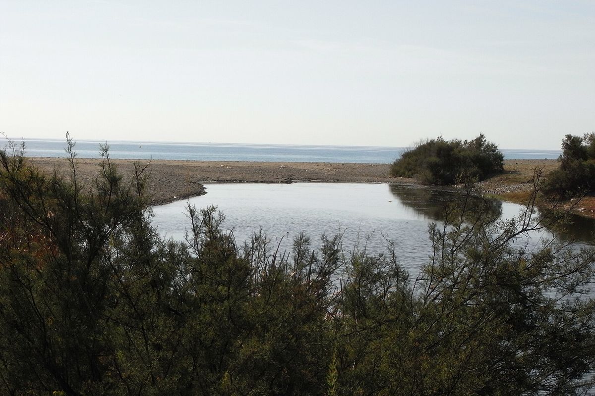 The lagoon at the mouth of the Guadalmina river, looking out to sea