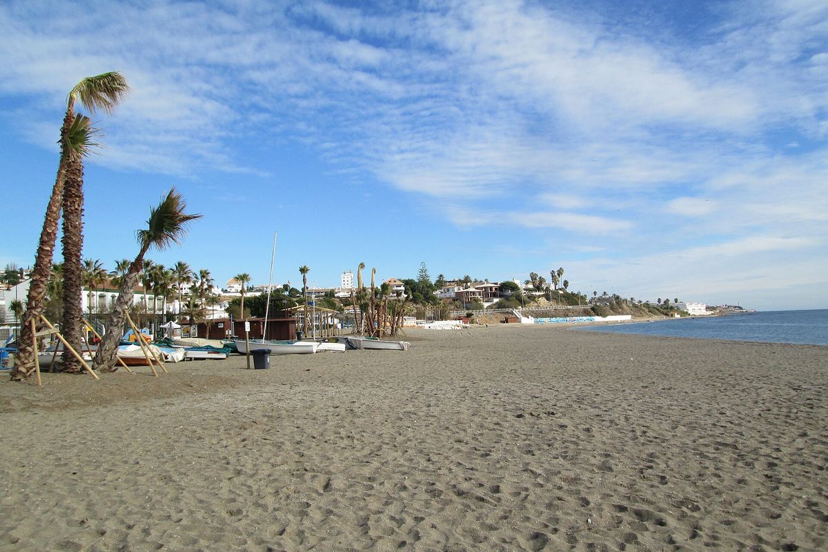 Palm trees and fishing boats on La Cala beach