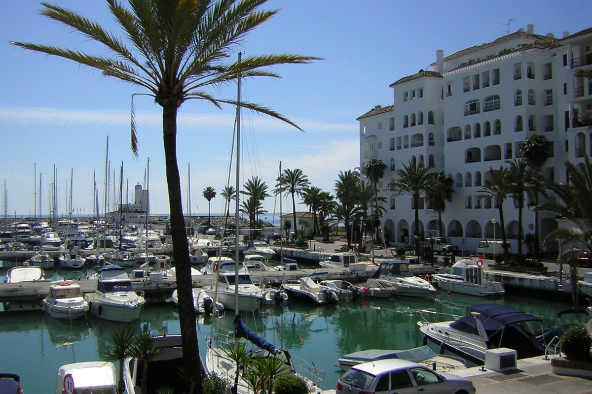 Palms and moorings at the marina