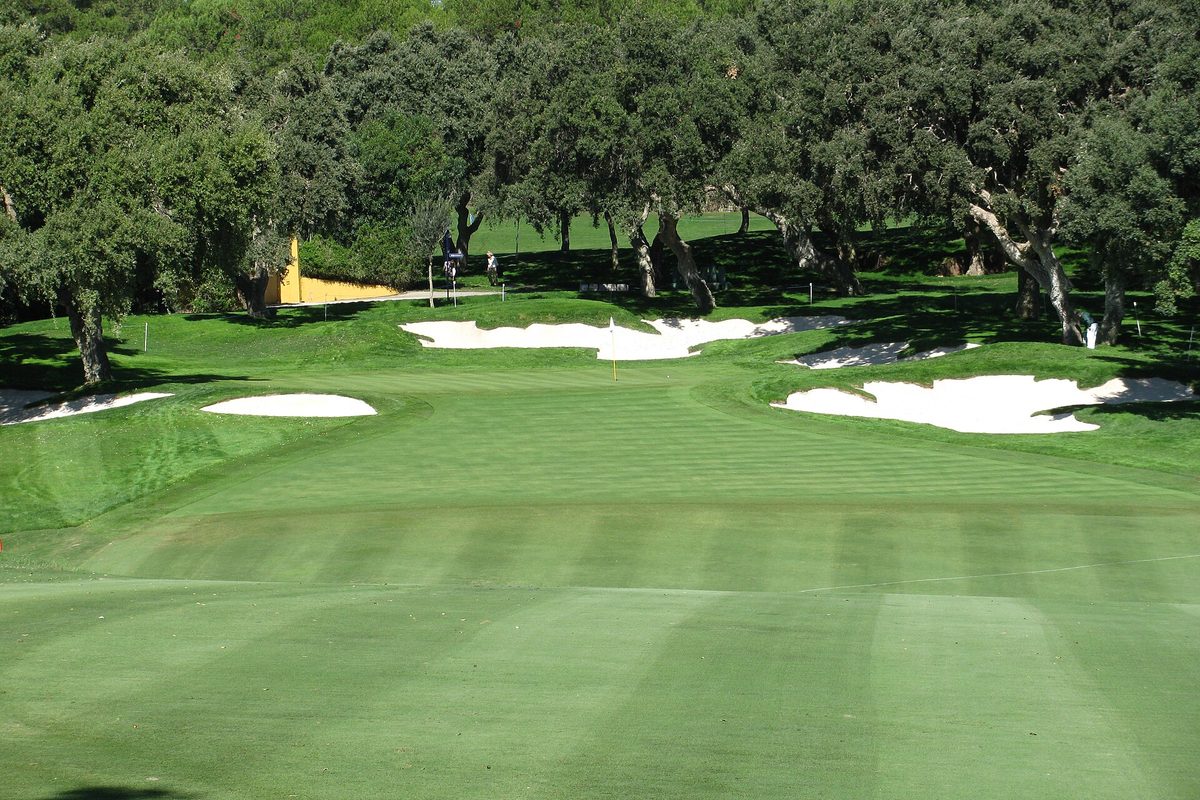 A fairway and green at Valderrama, with cork oaks behind