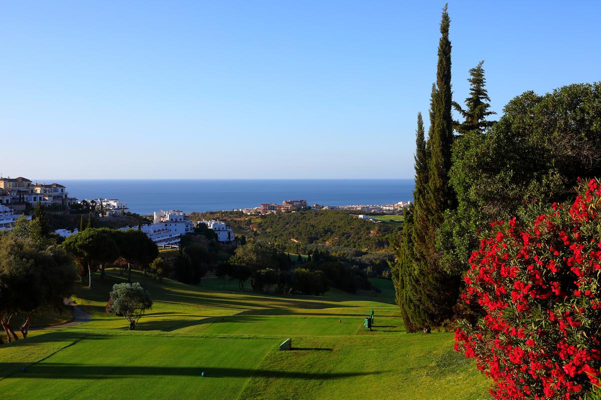 Tee shot framed by cypress and oleander, sea on the horizon