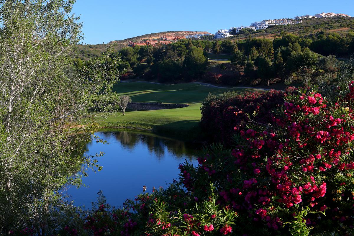 A lake on the course with oleander in flower