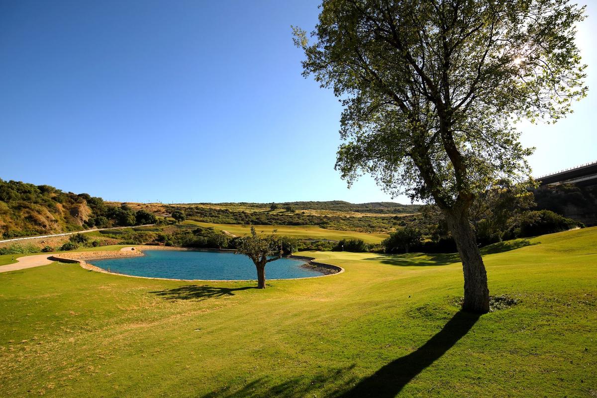 Hole 3, with its lake and a lone tree
