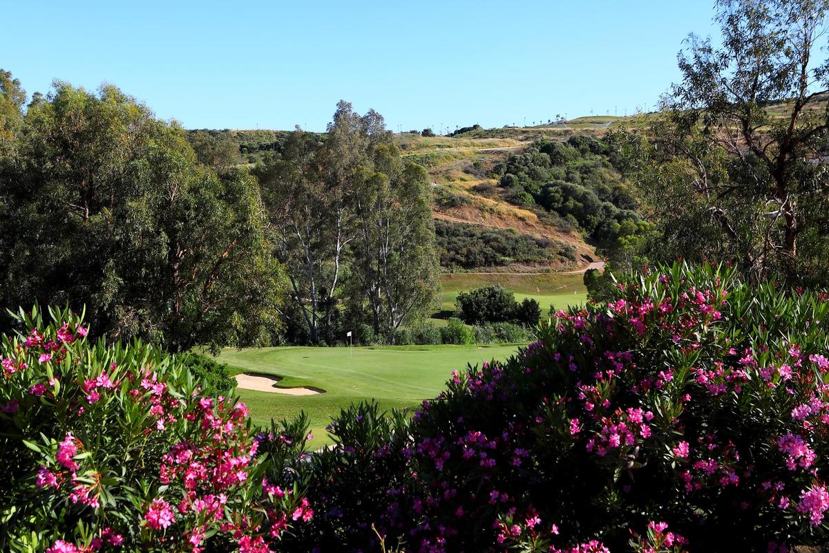 Hole 4 through the oleanders