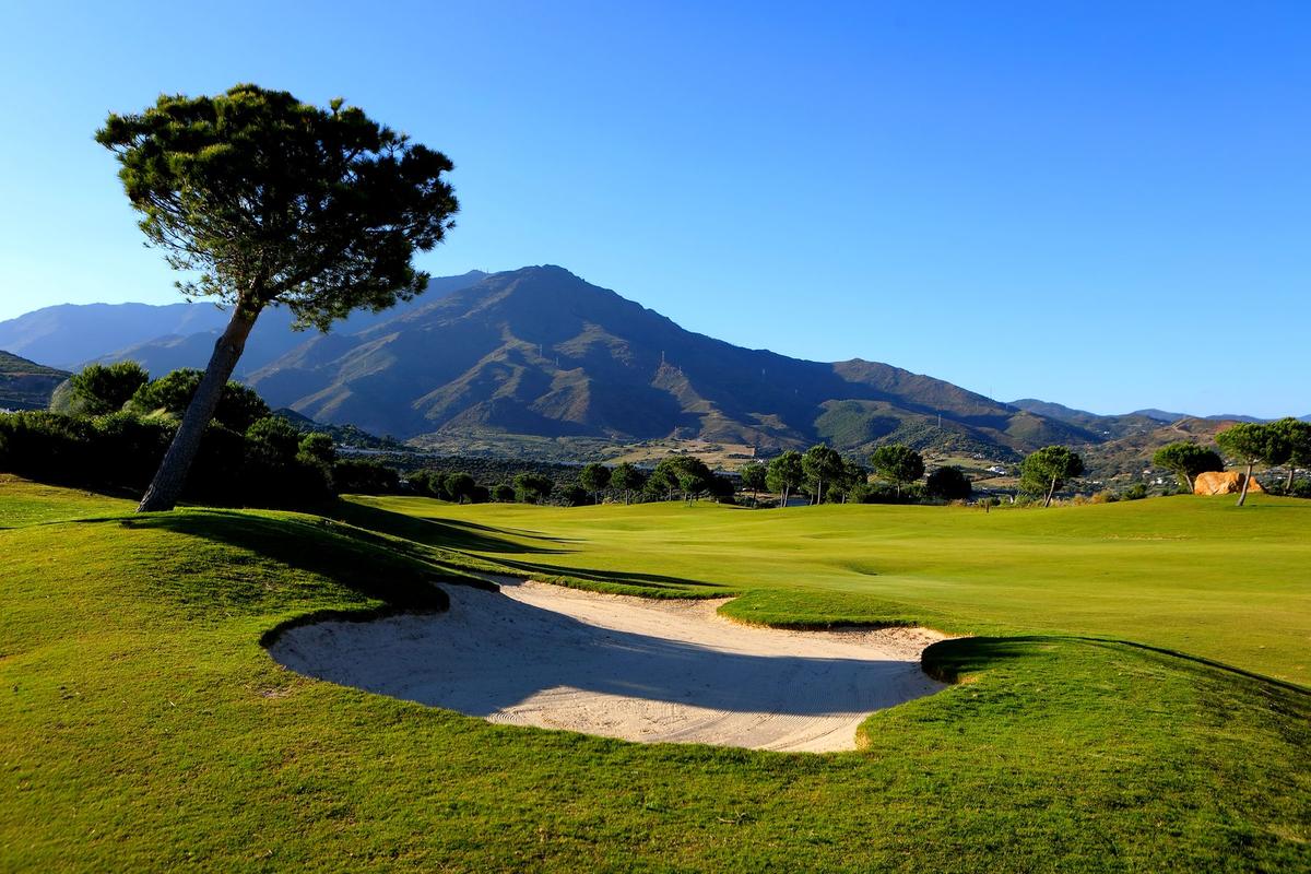 Hole 13, bunker and pine under the mountains