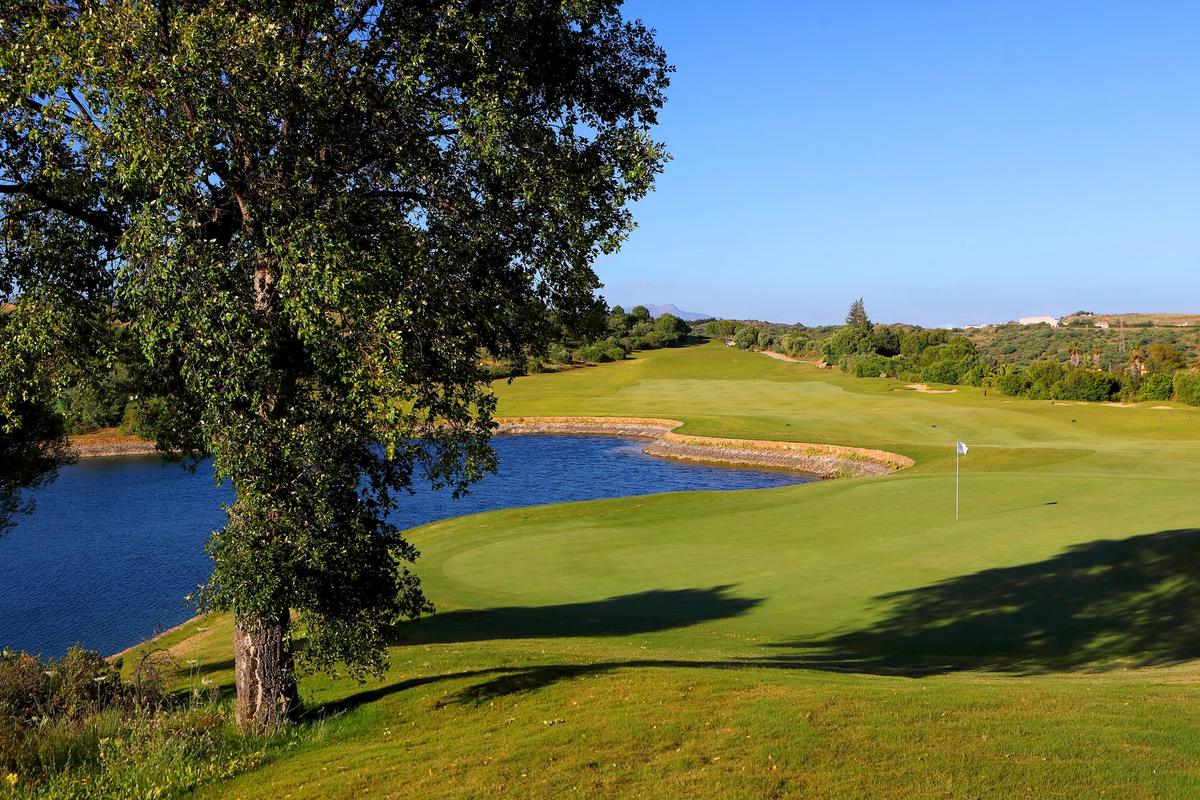 Green on hole 14 beside the lake