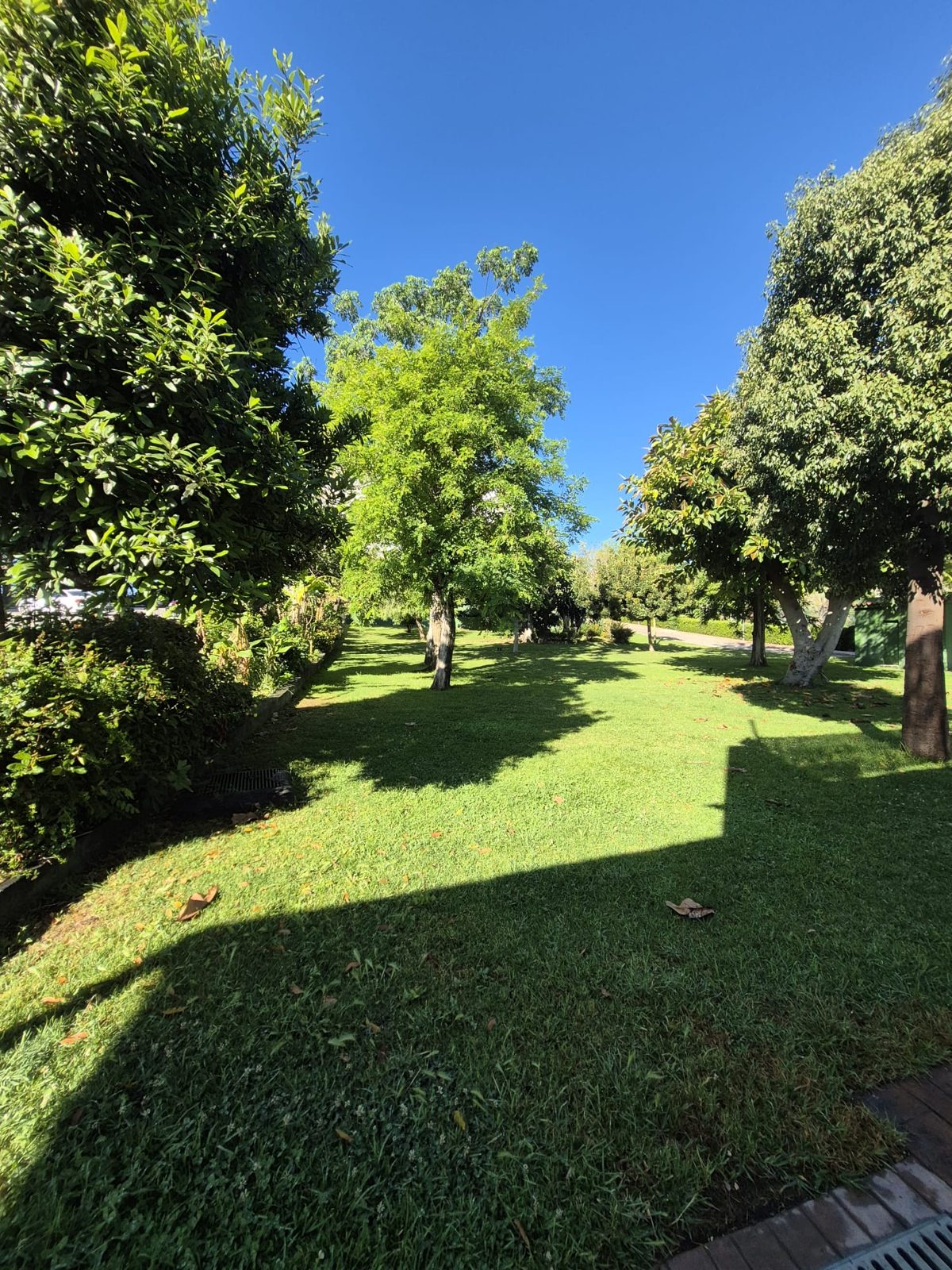 Gardens between the blocks