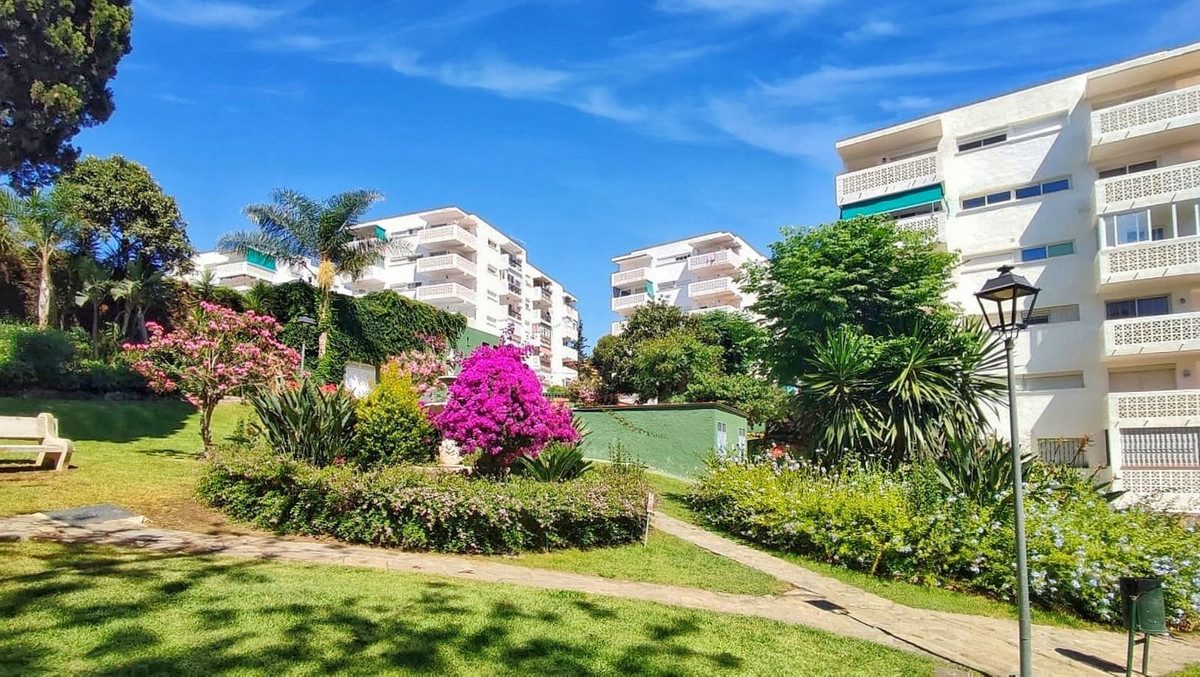 The block from the gardens